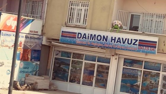 DAİMON HAVUZ LTD.ŞTİ